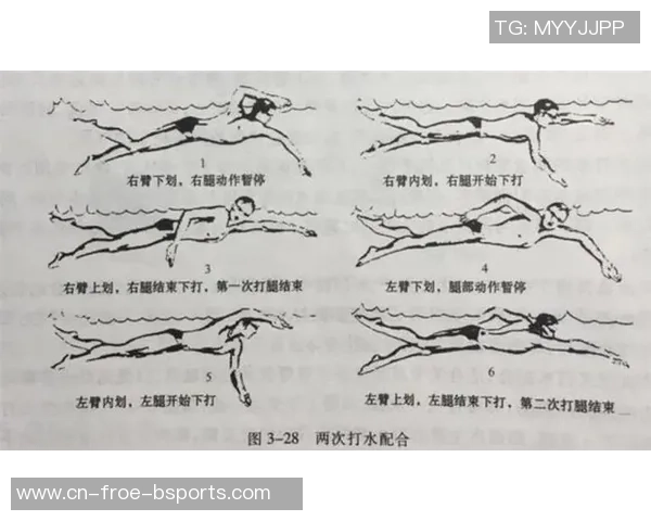游水技巧 - 自由泳的四个技能关键，少一个都不可